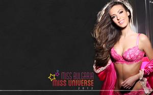 Miss Universe 2012